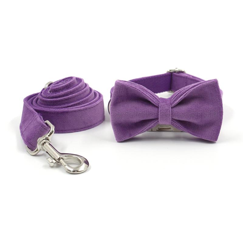 Collar Leash Set Image 9