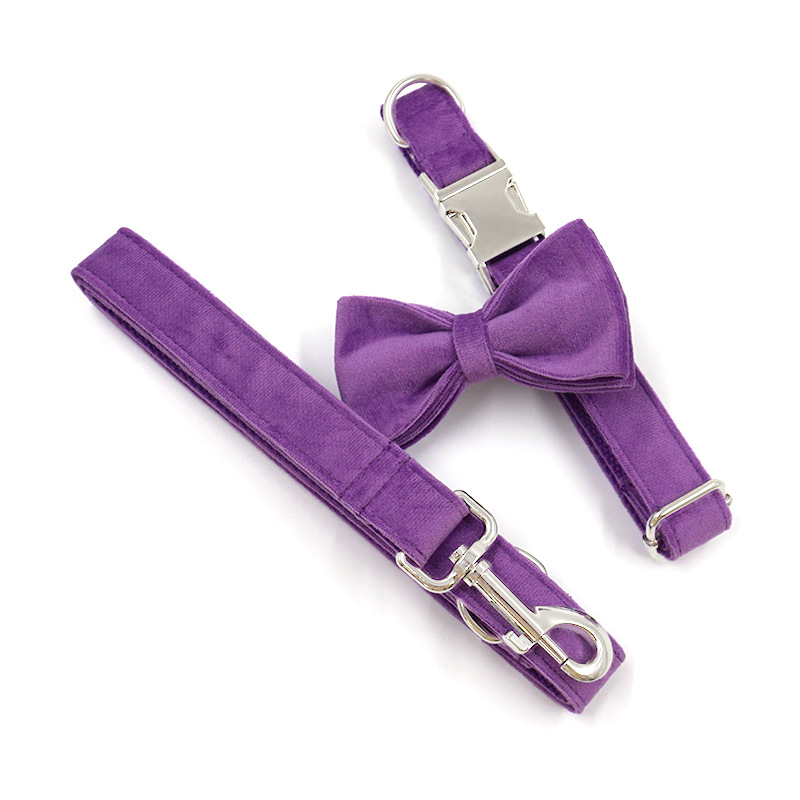 Collar Leash Set Image 10