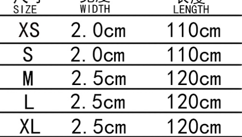 Collar Leash Set Image 5