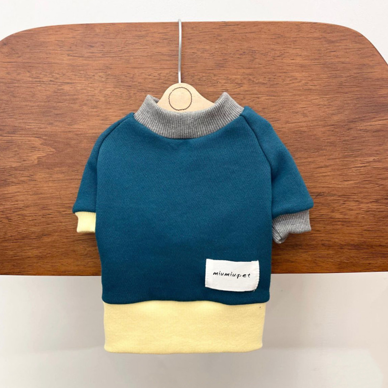 Pet in Colorblock Sweatshirt 2
