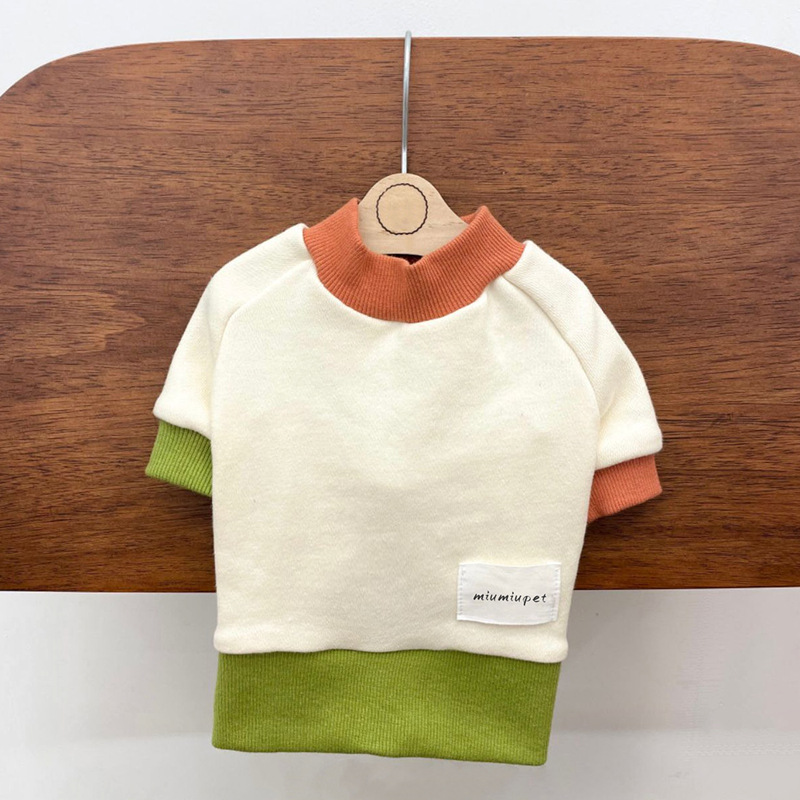 Pet in Colorblock Sweatshirt 3