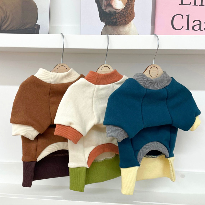Pet in Colorblock Sweatshirt 1