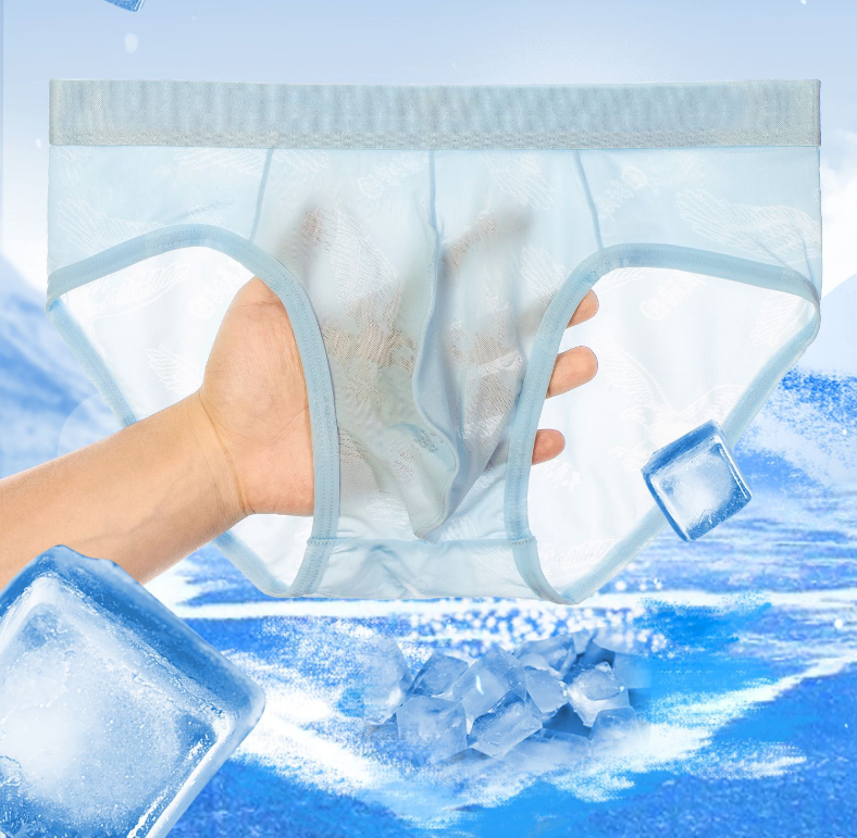 Men's Briefs 1