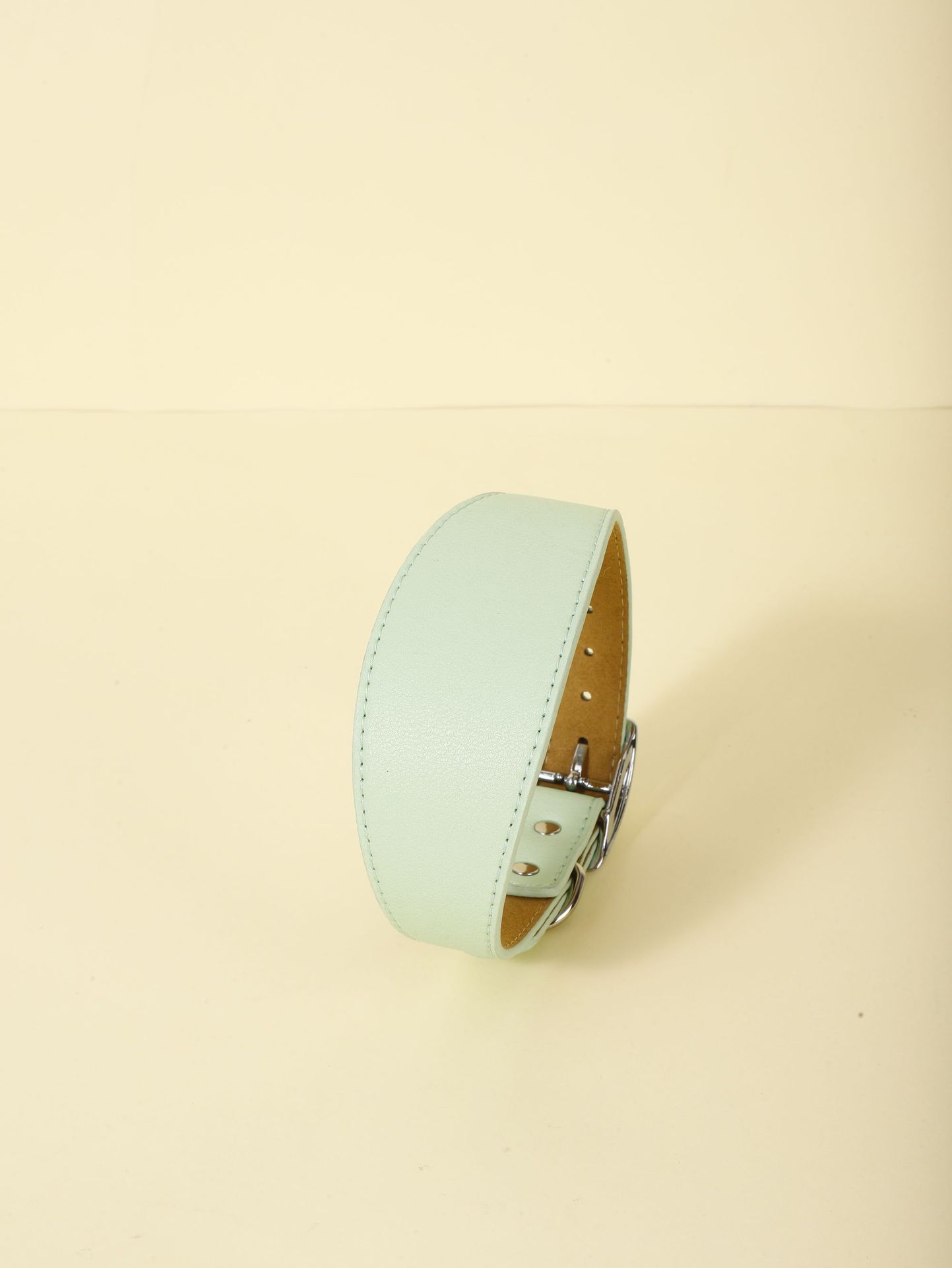 Pet Collar Image 5
