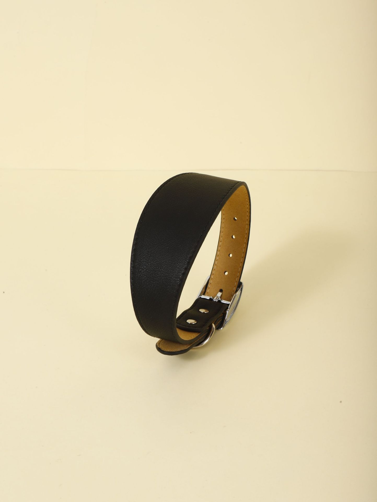 Pet Collar Image 8