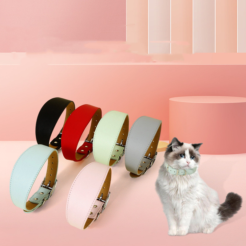 Pet Collar Image 4