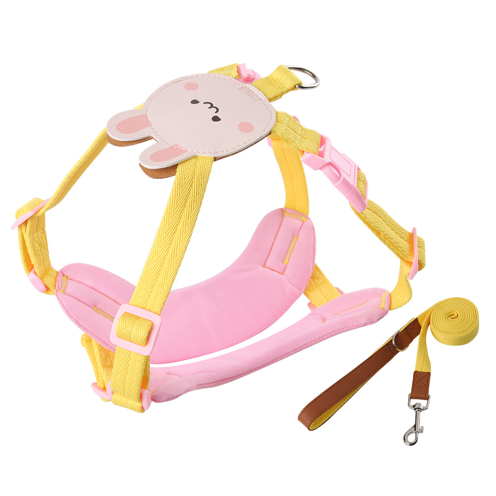 Fashion And Personality Small Dog Traction Rope Image 4