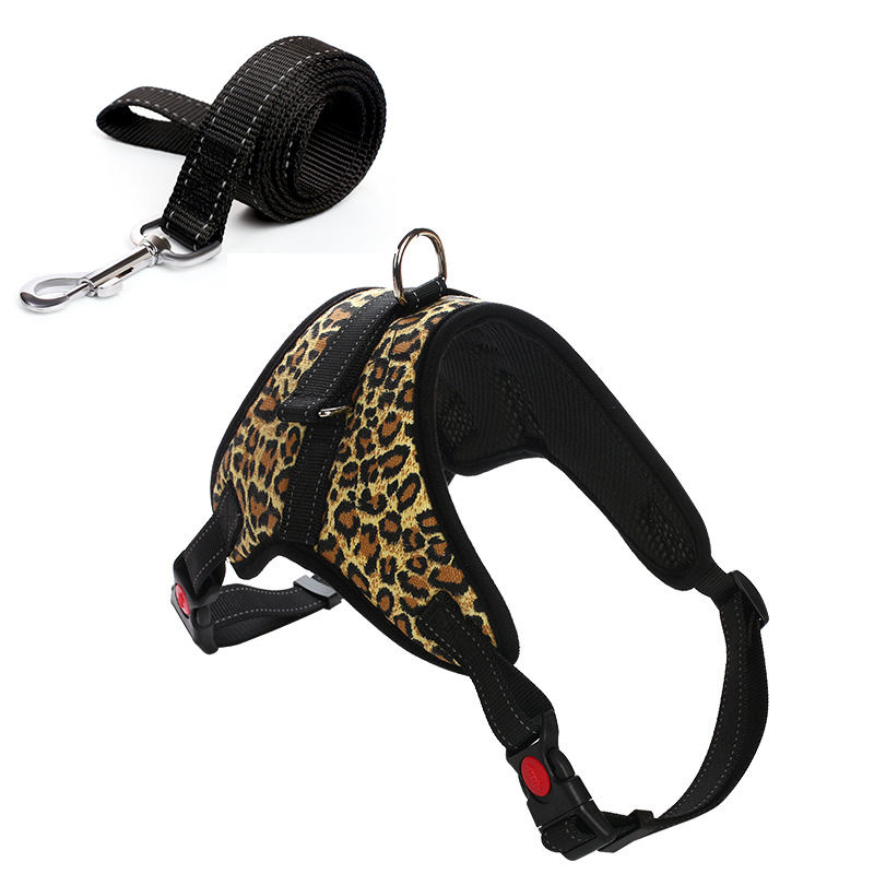 Dog Leash