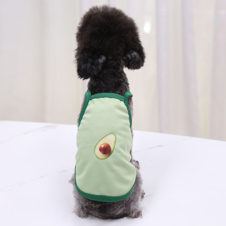 Comfortable Pet Clothing