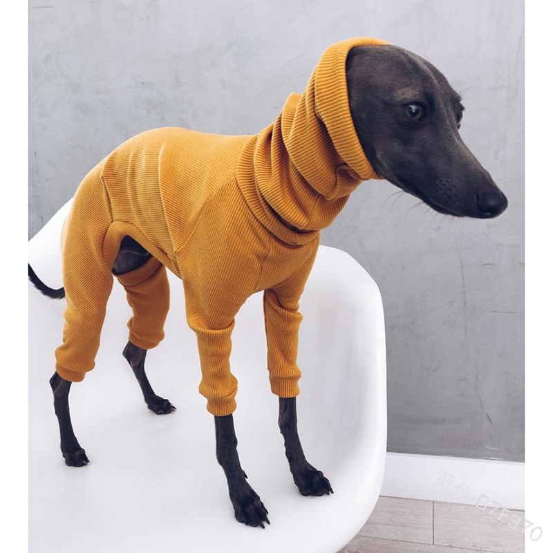 Dog Jumpsuit