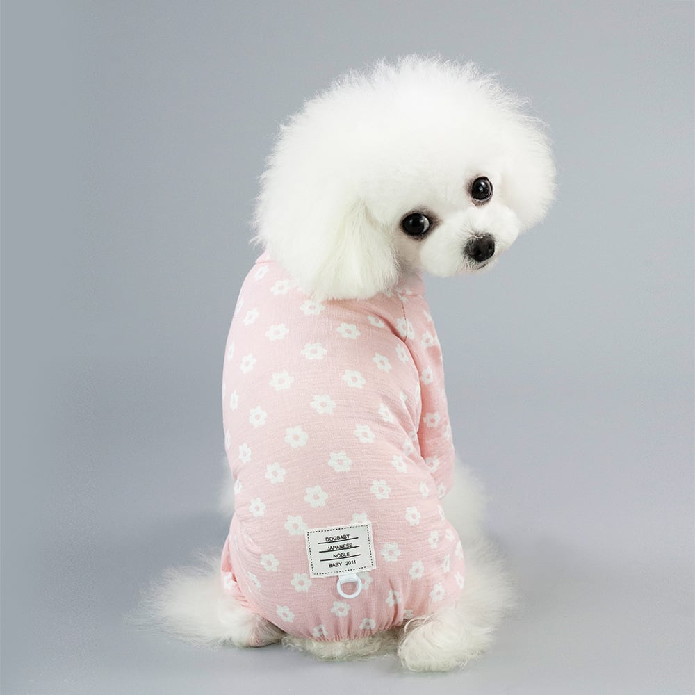 Stylish dog outfit
