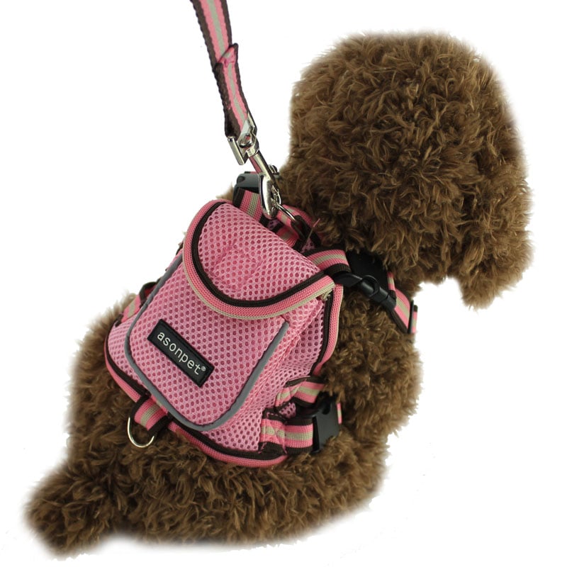 Pet Traction School Bag
