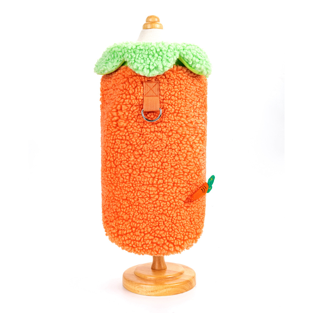 Korean Style Lotus Leaf Lace Warm Pet Clothes 6