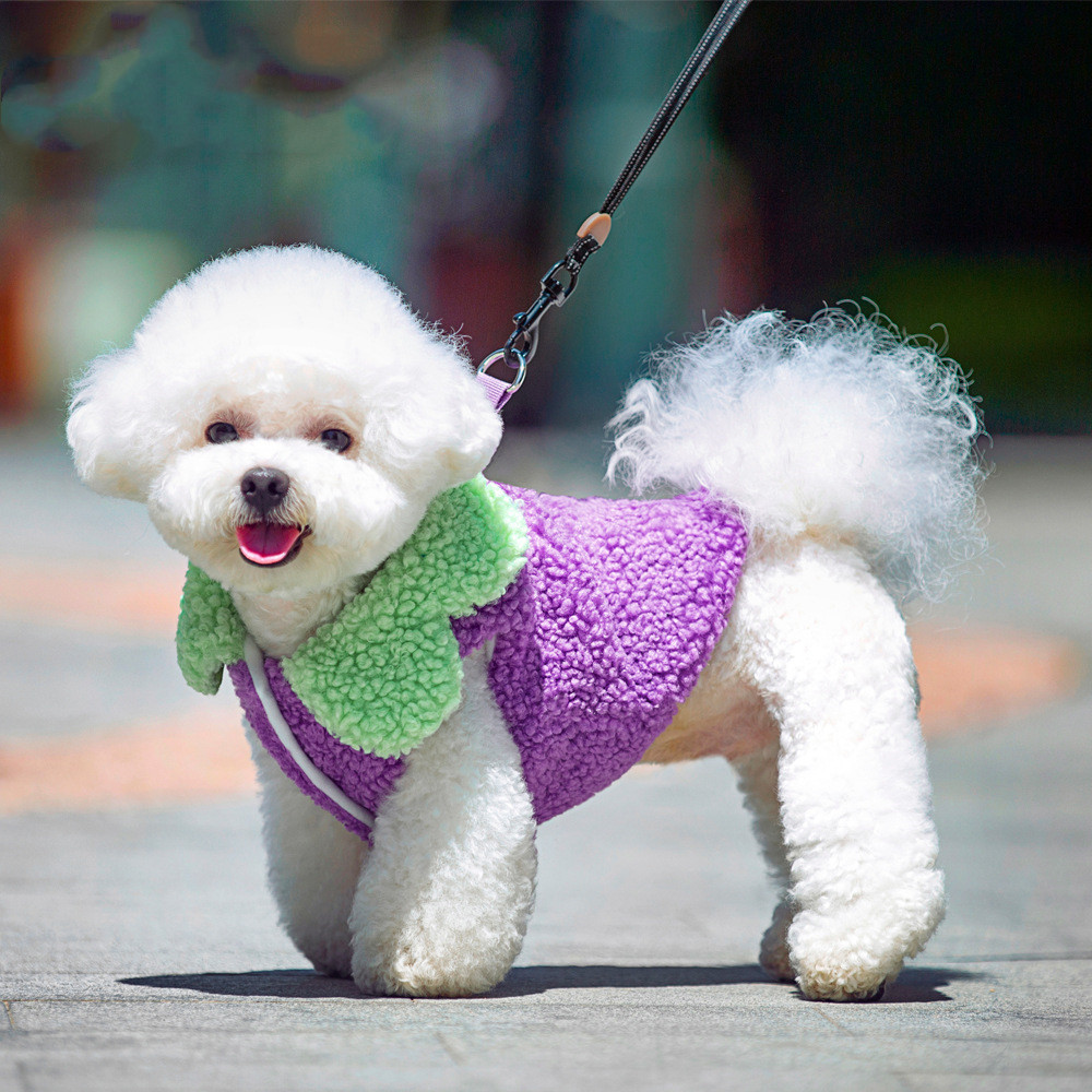 Korean Style Lotus Leaf Lace Warm Pet Clothes 5