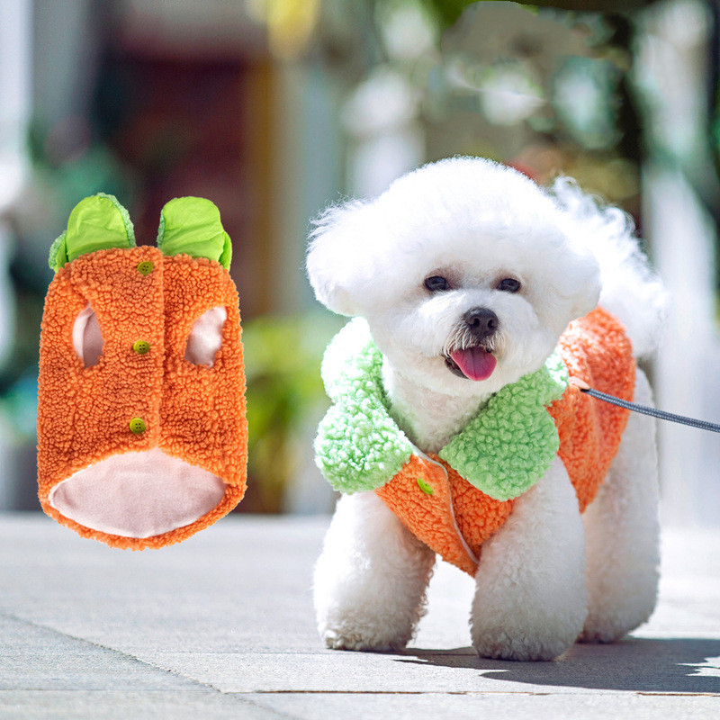Korean Style Lotus Leaf Lace Warm Pet Clothes 2
