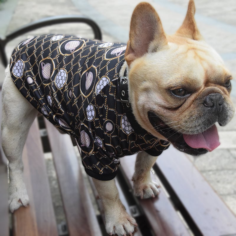 Dog Clothes Image 4