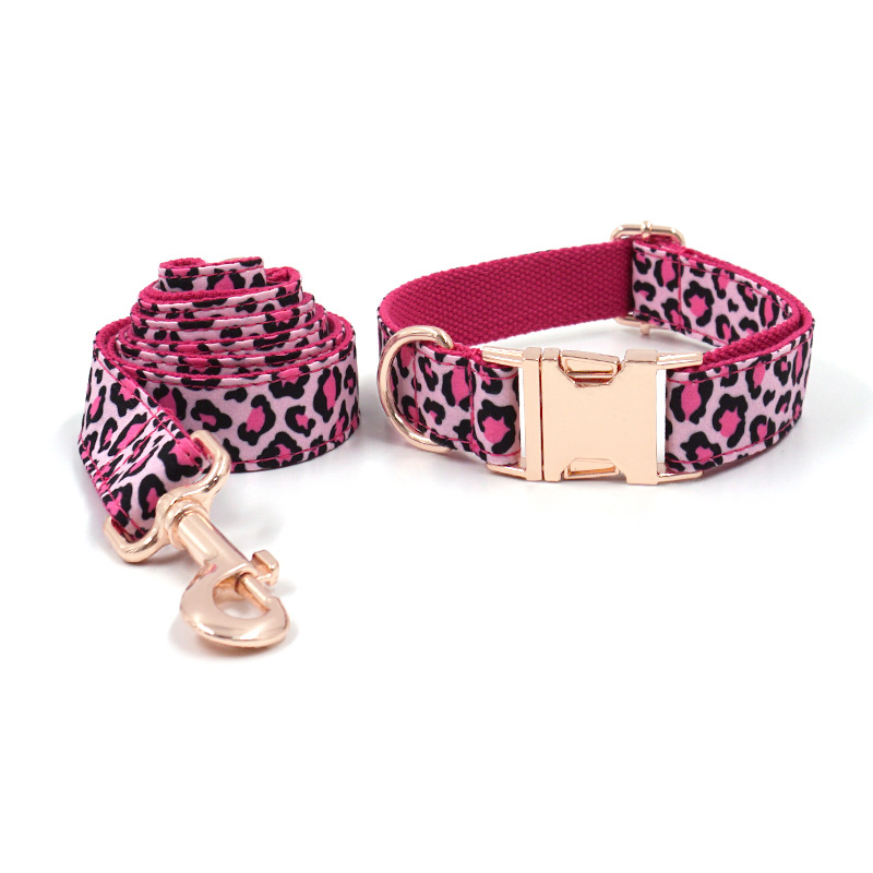 Elegant Pet Leash