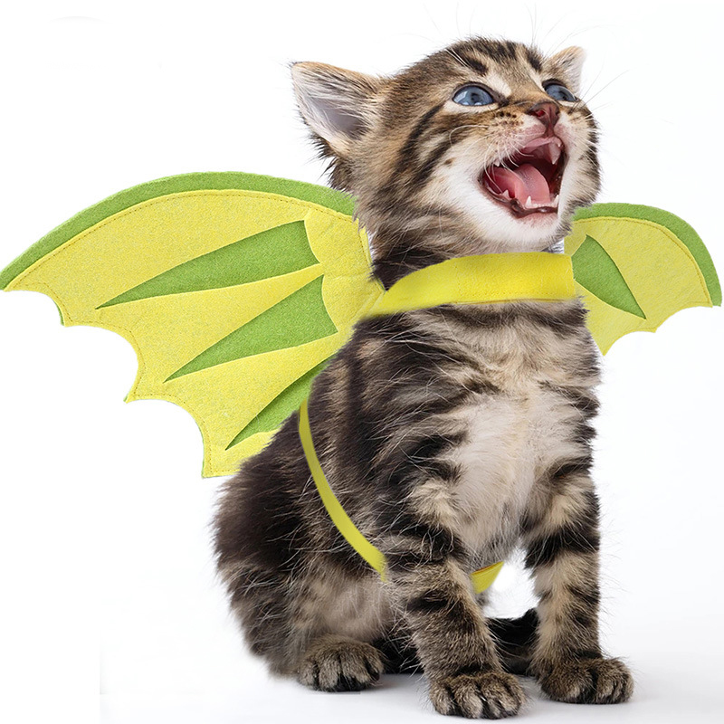 Halloween Pet Dinosaur Wings 4