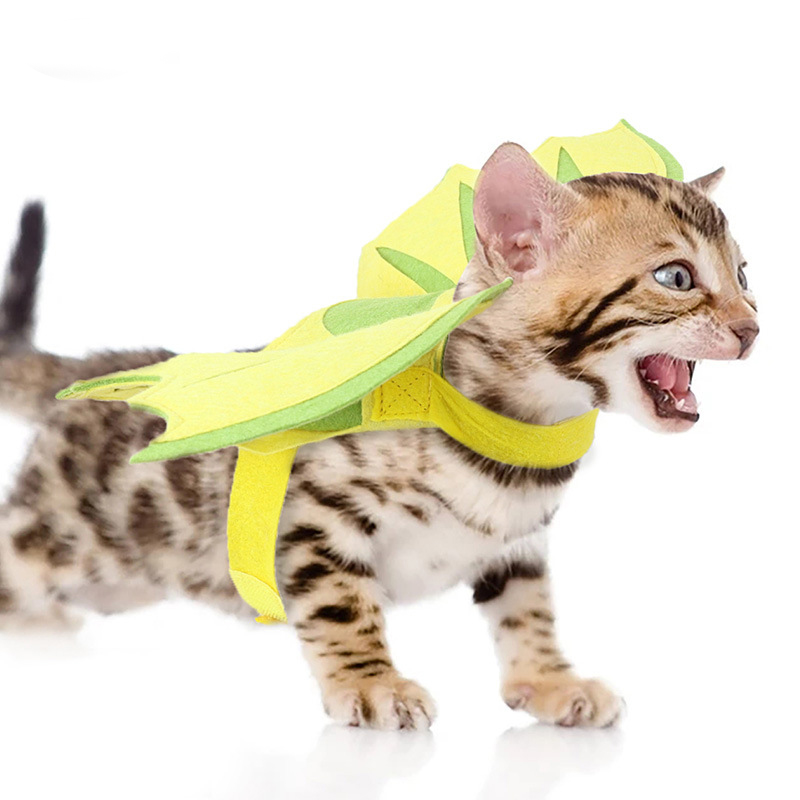 Halloween Pet Dinosaur Wings 5