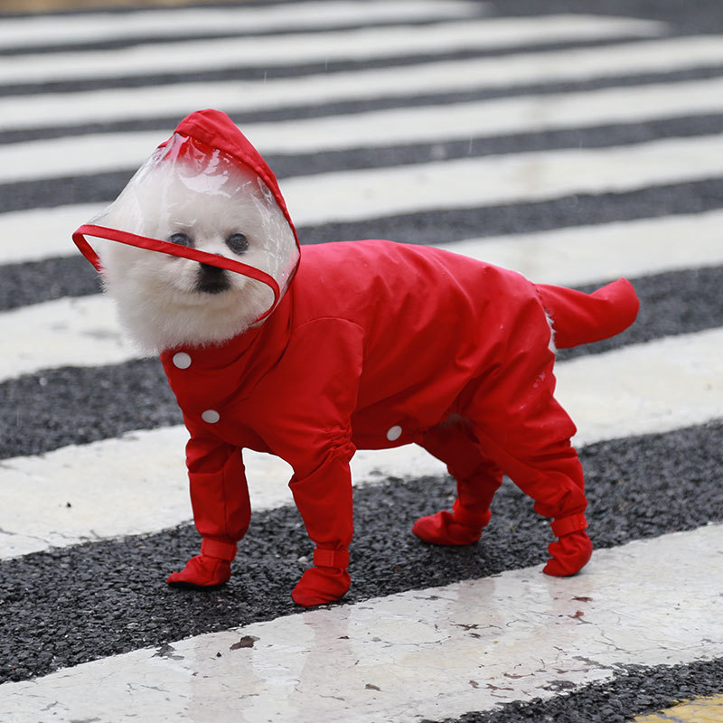 Pet Raincoat in action