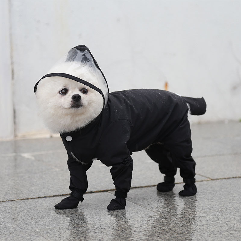 Wearing the Raincoat