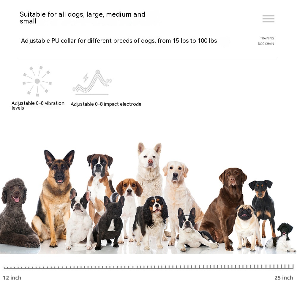 dogs with Adjustable dog collar with LED night light