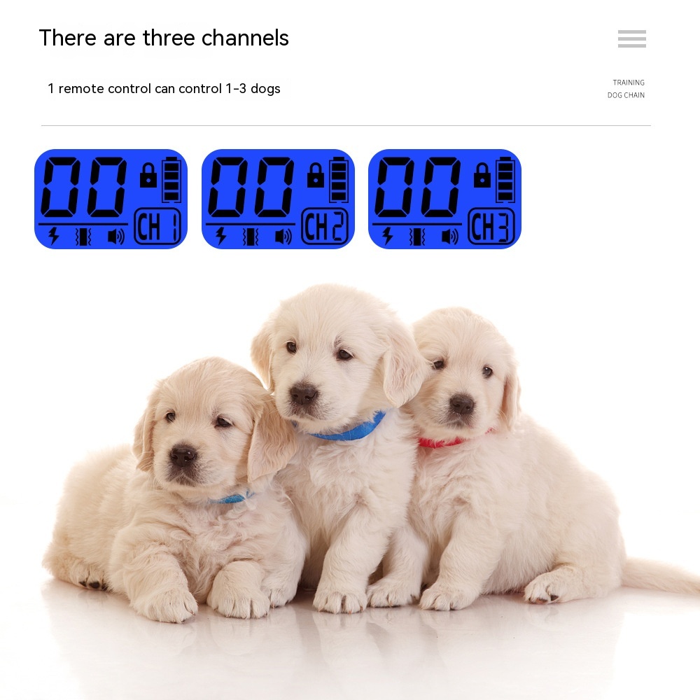 Dog wearing remote training collar with LED