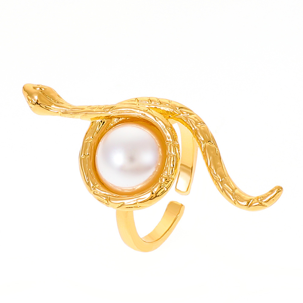 Diseño elegante envuelto en serpiente