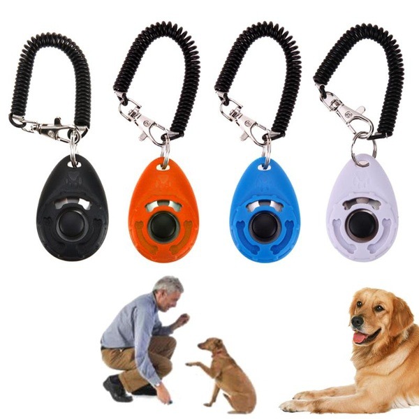 Training Clicker with Accessories