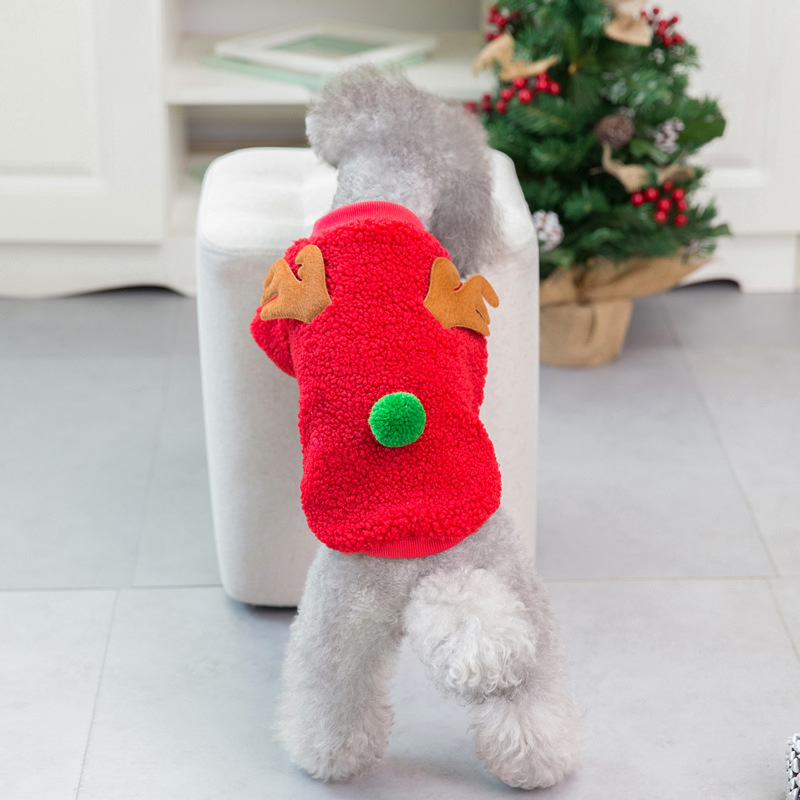 Christmas Pet Clothing Example
