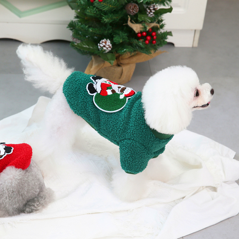 Christmas Pet Clothing Example