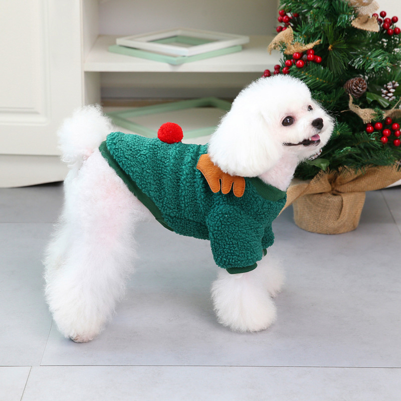 Christmas Pet Clothing Example