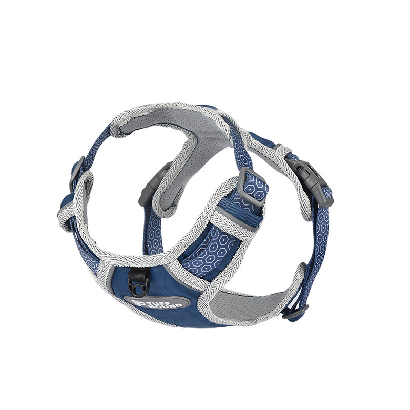 Dog Chest Strap in Action