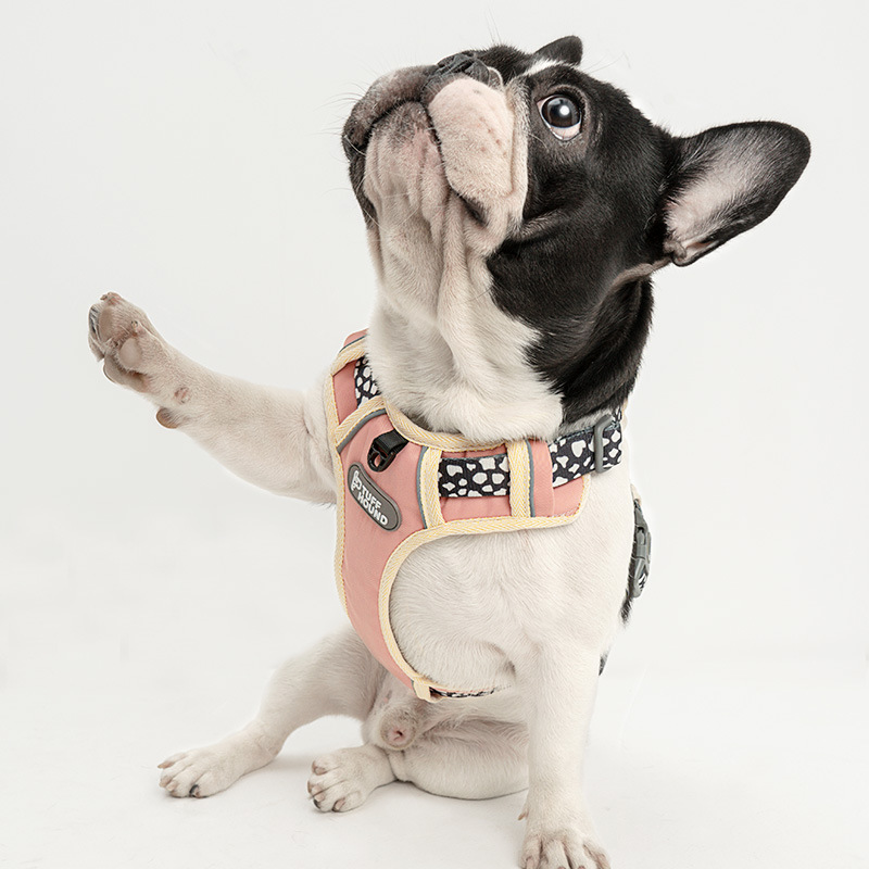 Stylish Dog Chest Strap