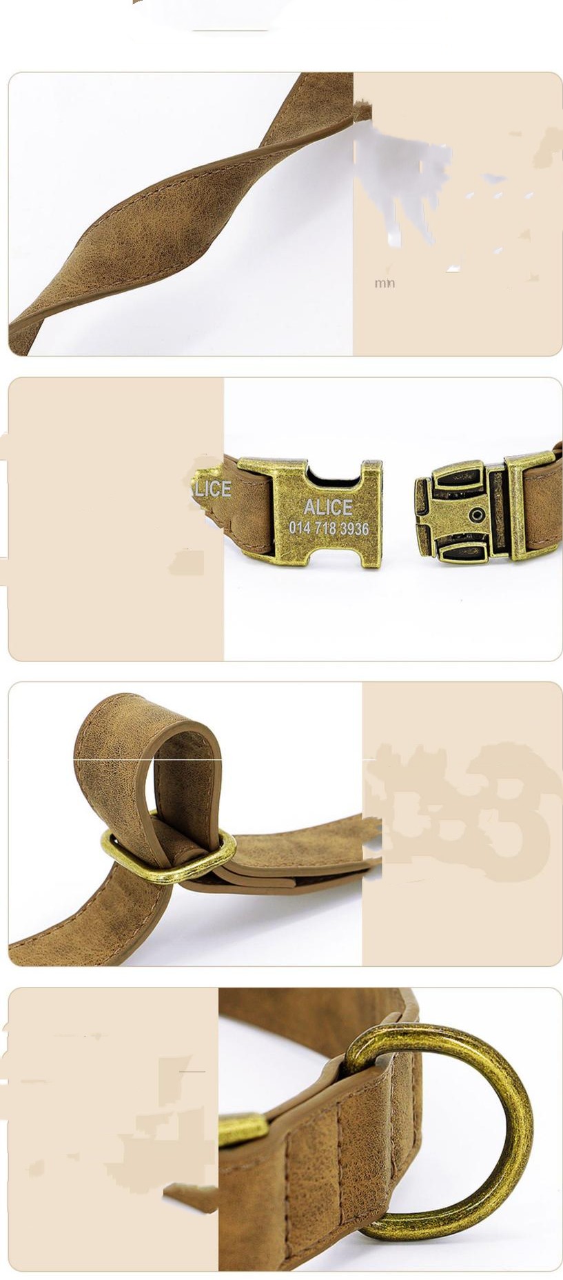 Colorful Dog Collar