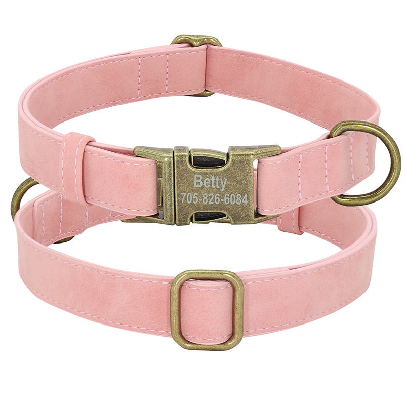 Colorful Options Dog Collar