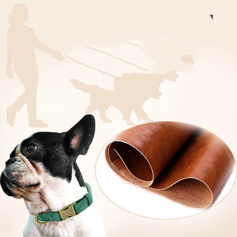 Fashionable Dog Collar