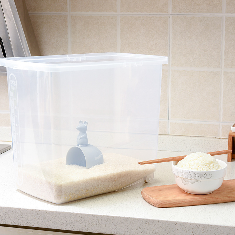 Measuring Rice Cup in Kitchen