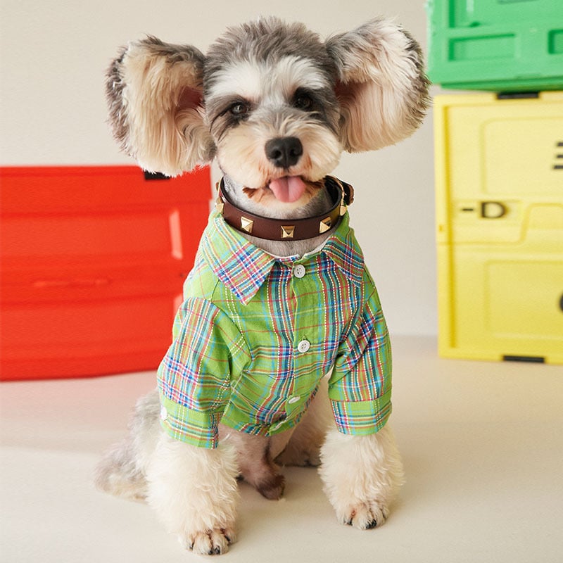 Pet Shirt 6