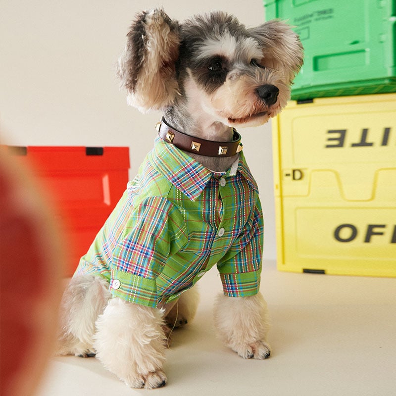Pet Shirt 2