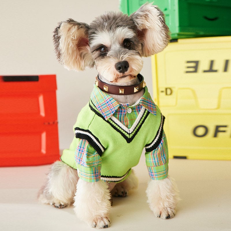 Pet Shirt 3