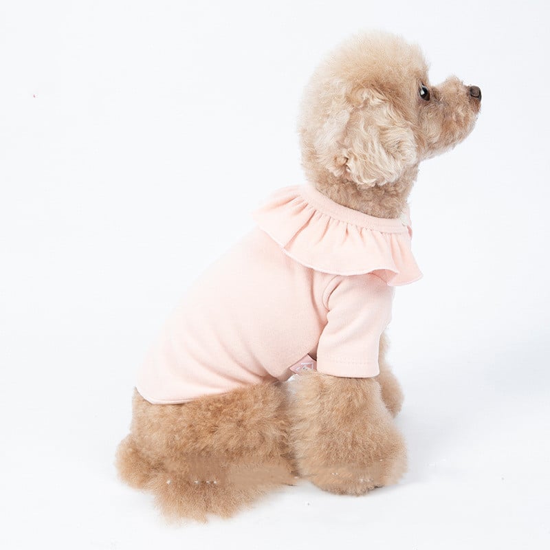 Pet Clothes