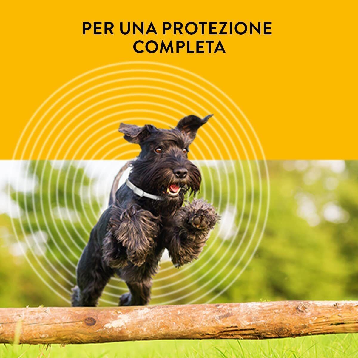 Insect Repellent Collar 3