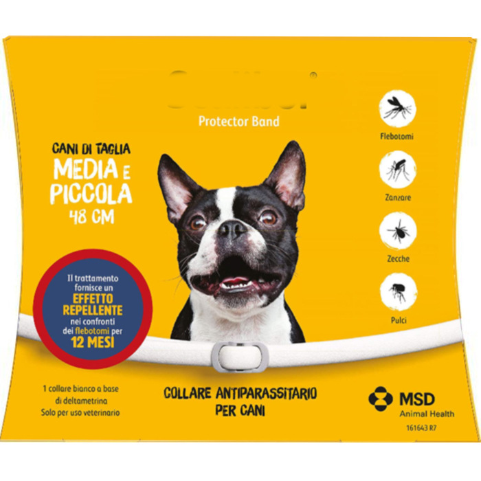 Insect Repellent Collar 9