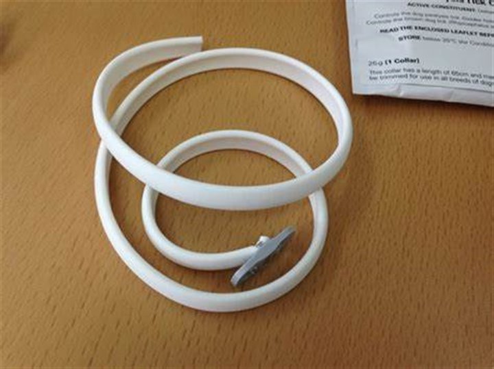Insect Repellent Collar 6