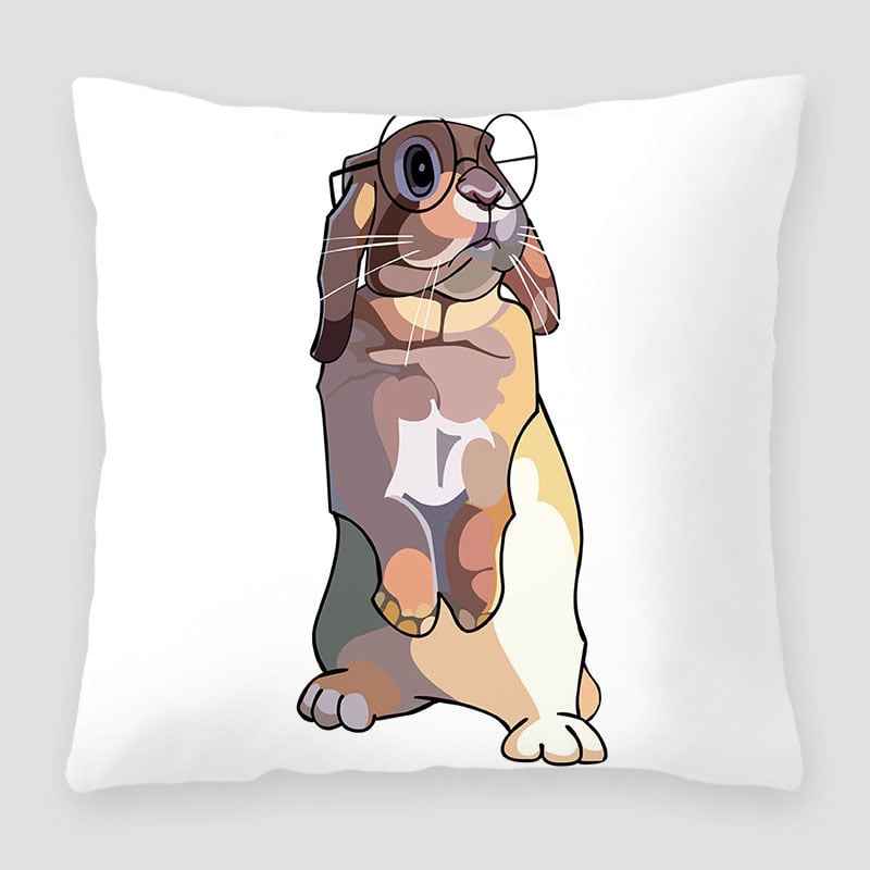 Peach Skin Velvet Pillow 3