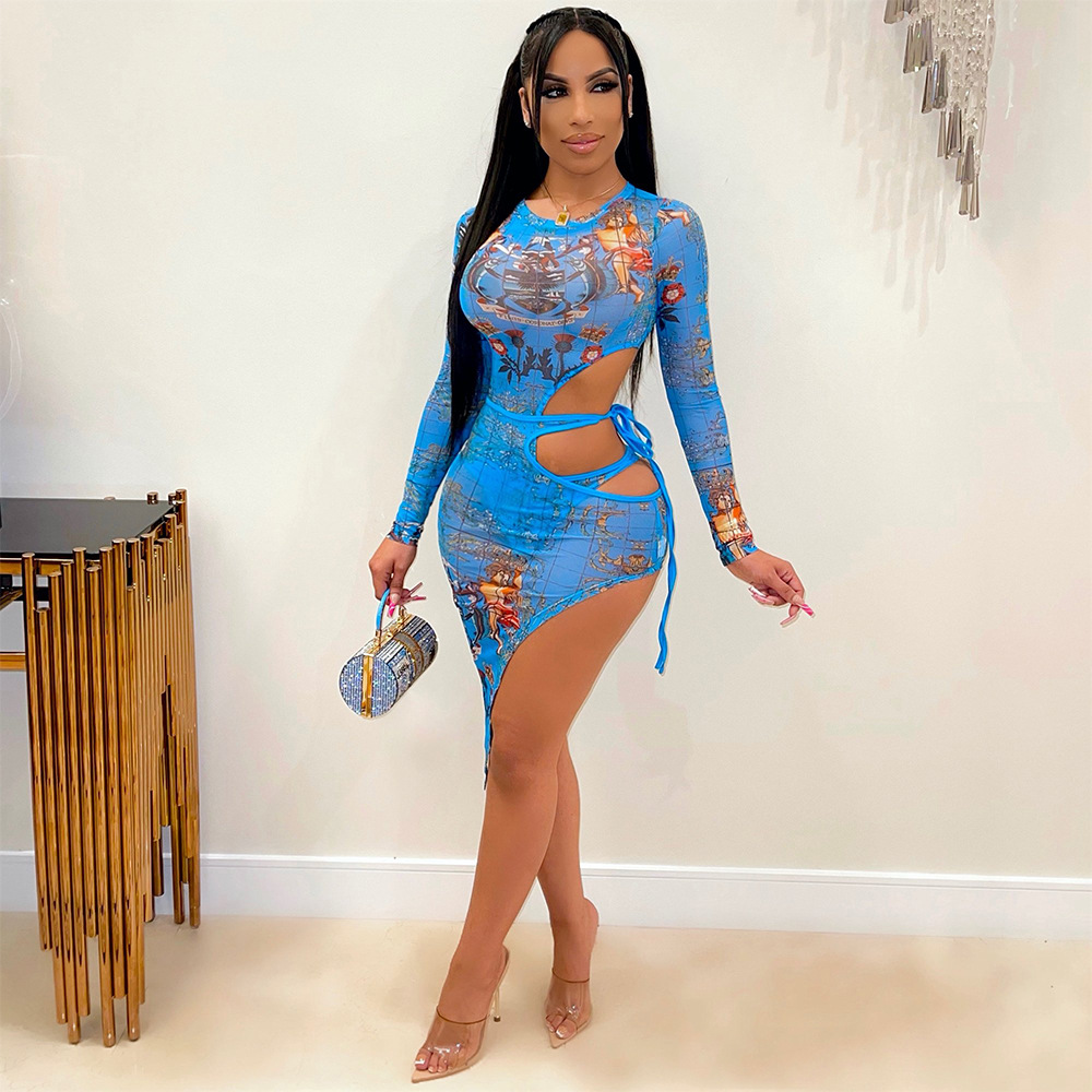 Women's Fashion Mesh Printed Dress Image 3