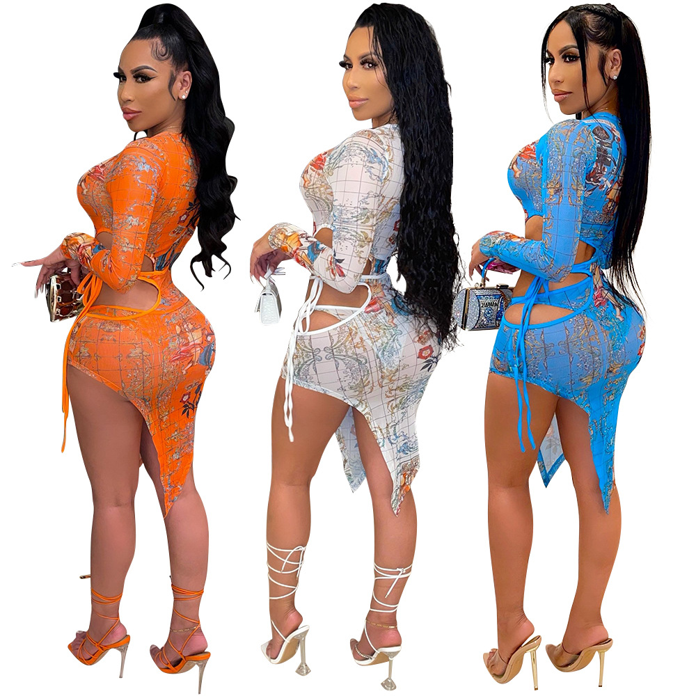 Women's Fashion Mesh Printed Dress Image 5