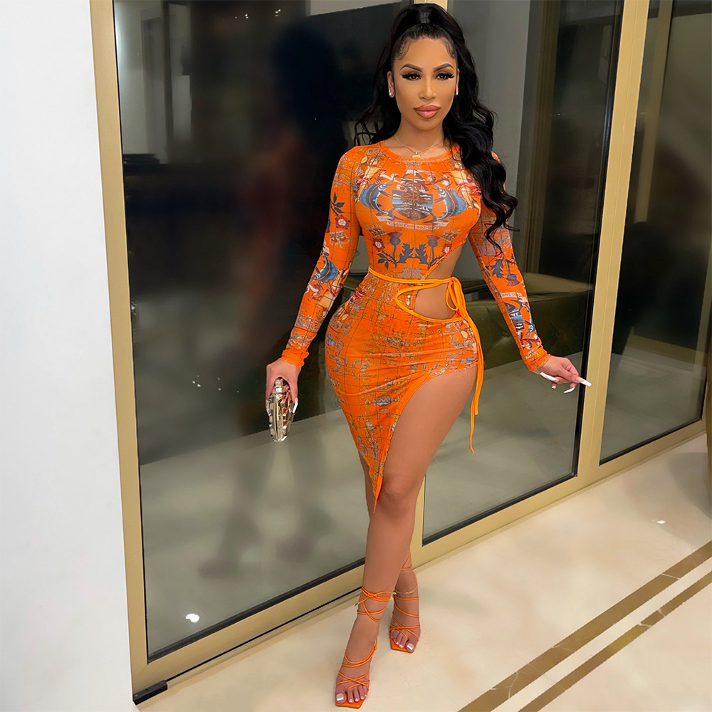 Women's Fashion Mesh Printed Dress Image 4