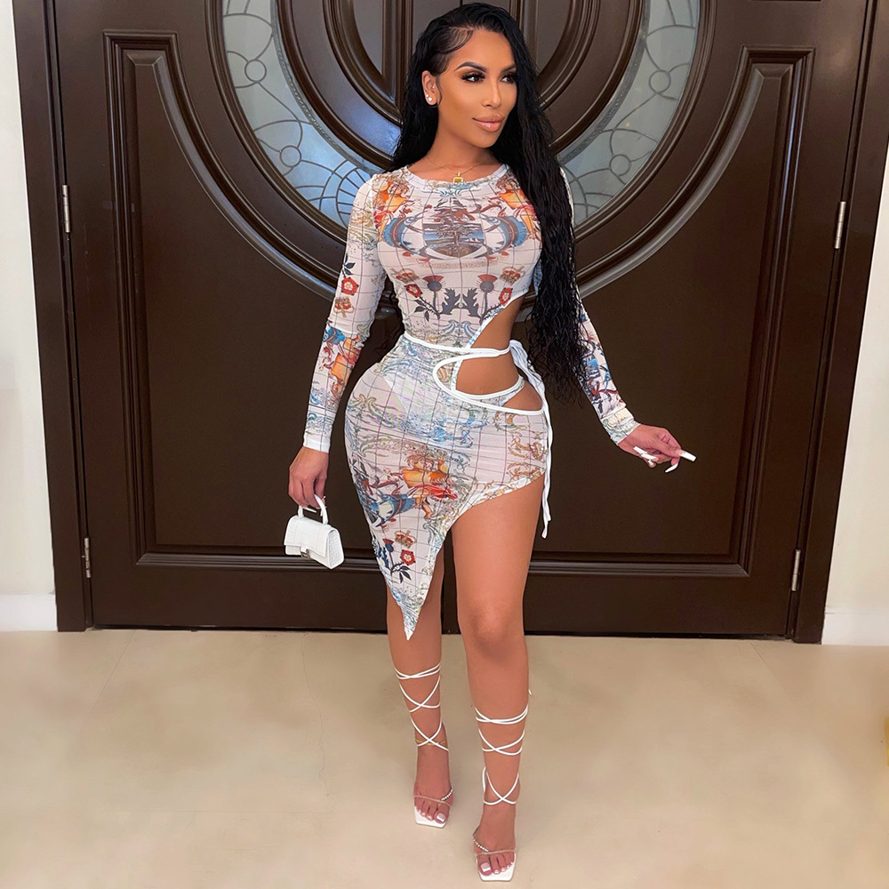 Women's Fashion Mesh Printed Dress Image 2